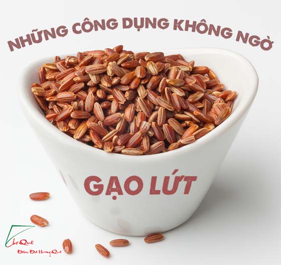 PHÁT HIỆN MỚI VỀ CÔNG DỤNG KHÔNG NGỜ CỦA GẠO LỨT